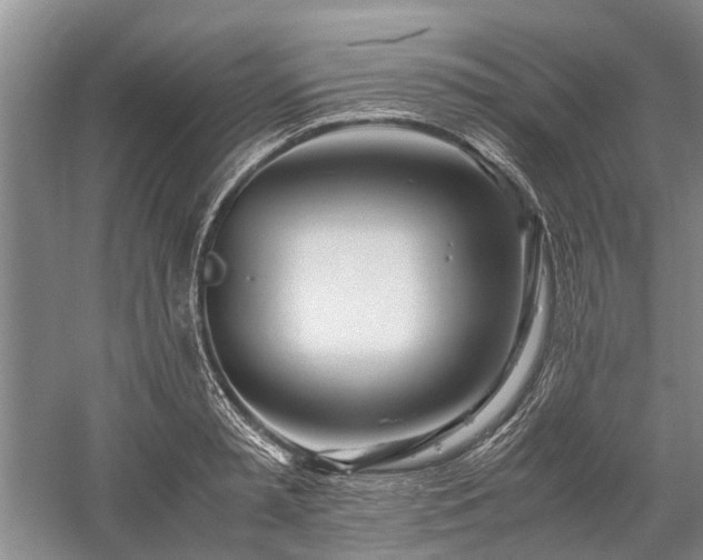 X0000060260797200510281204