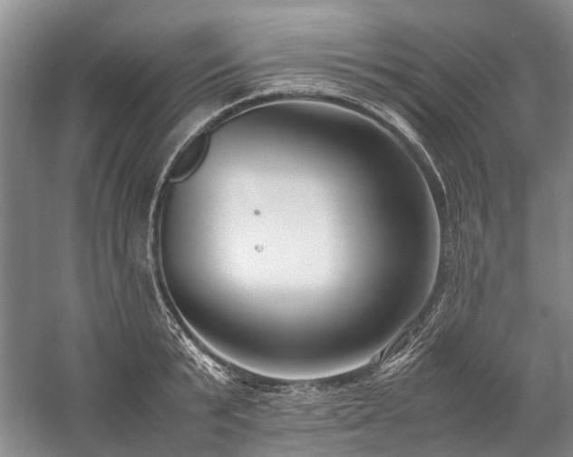 X0000060260799200510281204