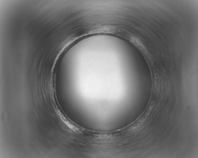 X0000060260800200510281204