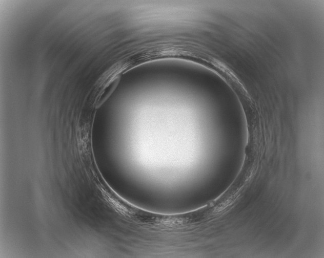 X0000060260801200510281204