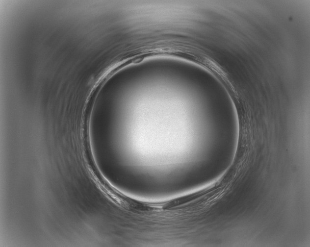 X0000060260803200510281204