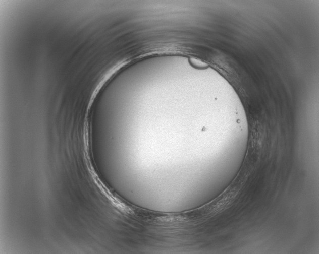 X0000060260804200510281204