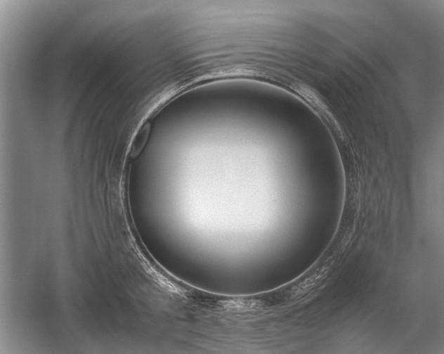 X0000060260805200510281204