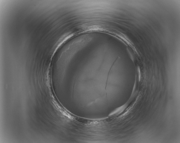 X0000060260806200510281204