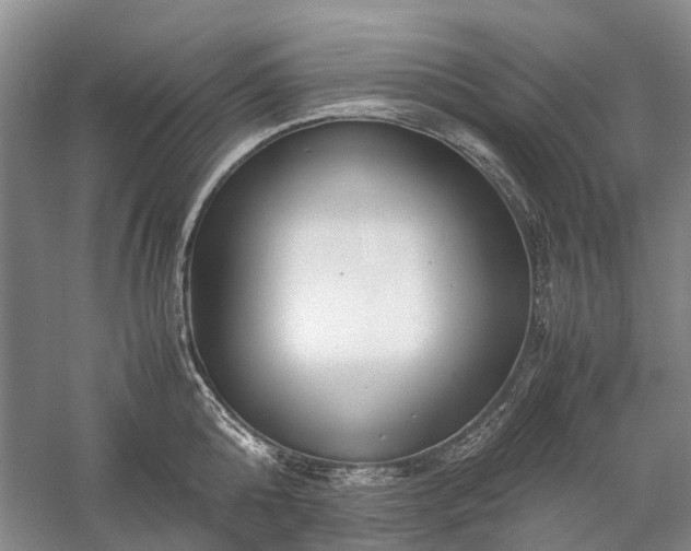 X0000060260808200510281204