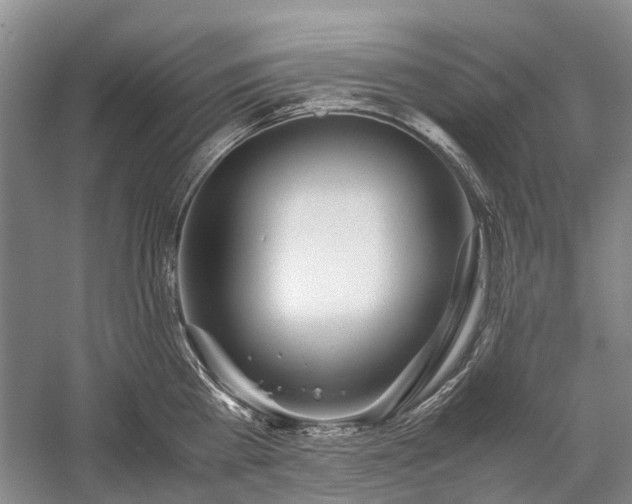 X0000060260809200510281204