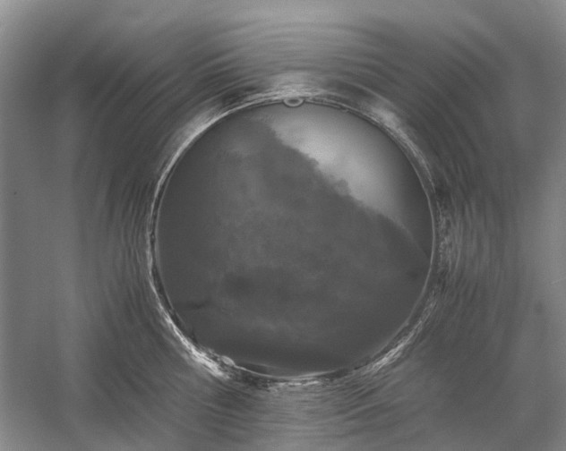 X0000060260810200510281204