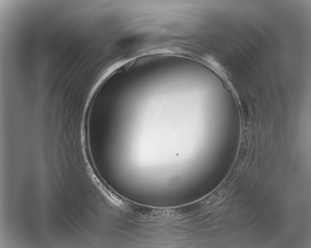 X0000060260811200510281204