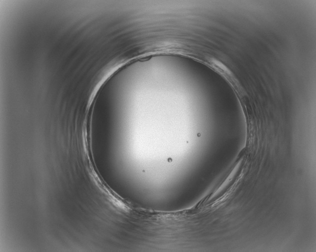 X0000060260812200510281204