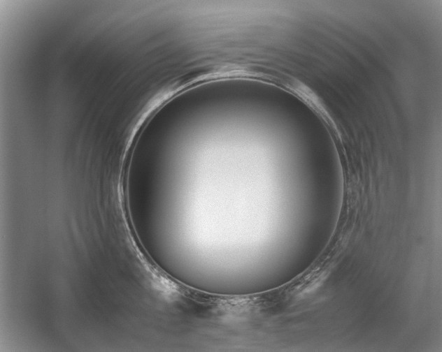 X0000060260813200510281204