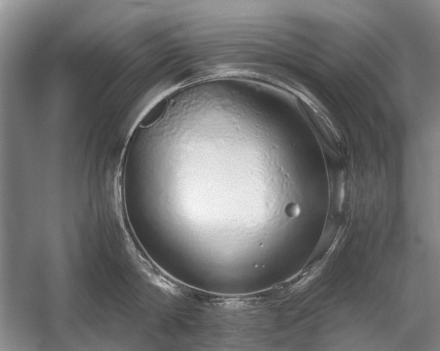 X0000060260814200510281204