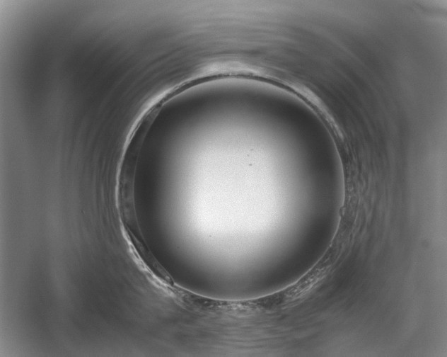 X0000060260815200510281204