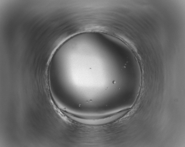 X0000060260816200510281204