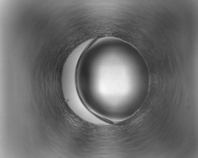 X0000060260818200510281203