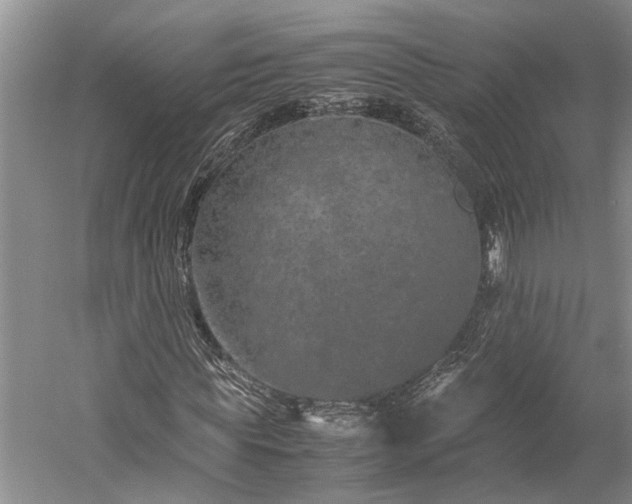 X0000060260819200510281203