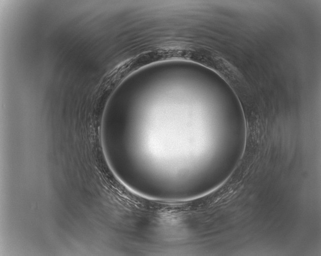 X0000060260821200510281203