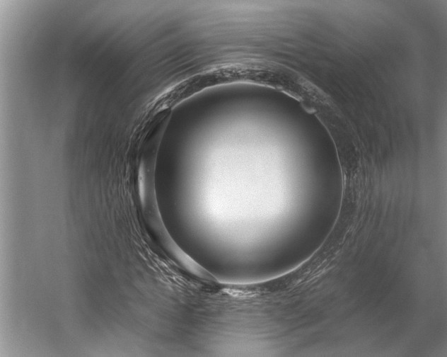 X0000060260822200510281203