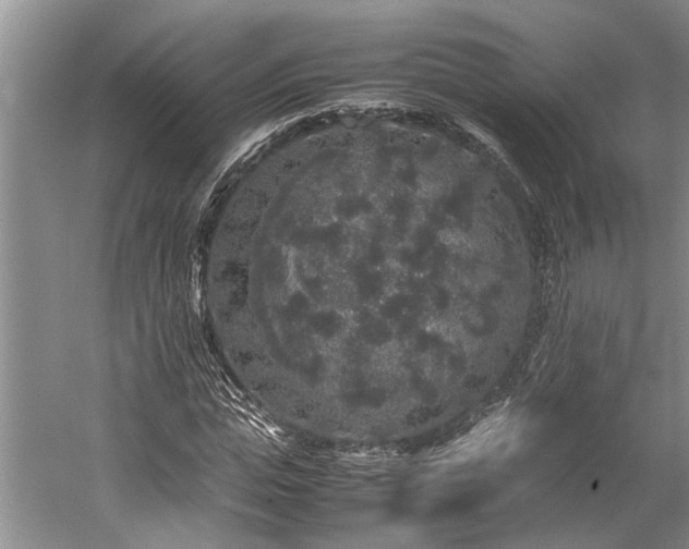 X0000060260823200510281203