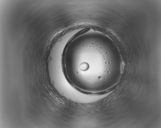 X0000060260824200510281203