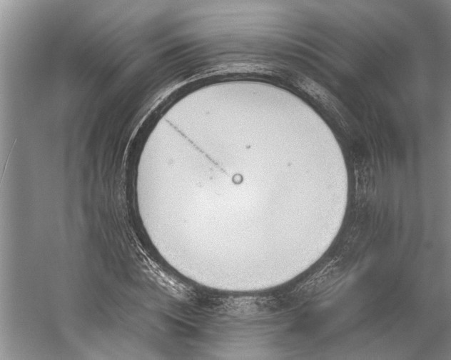 X0000060260828200510281203