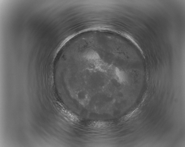 X0000060260829200510281203