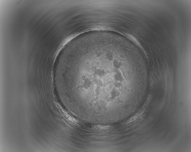 X0000060260831200510281203