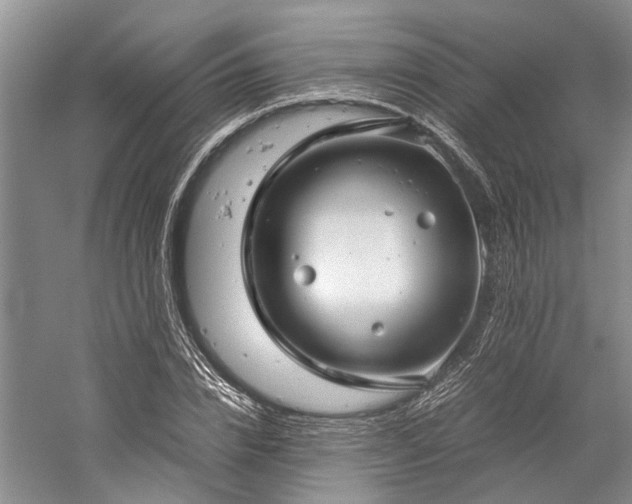 X0000060260832200510281203