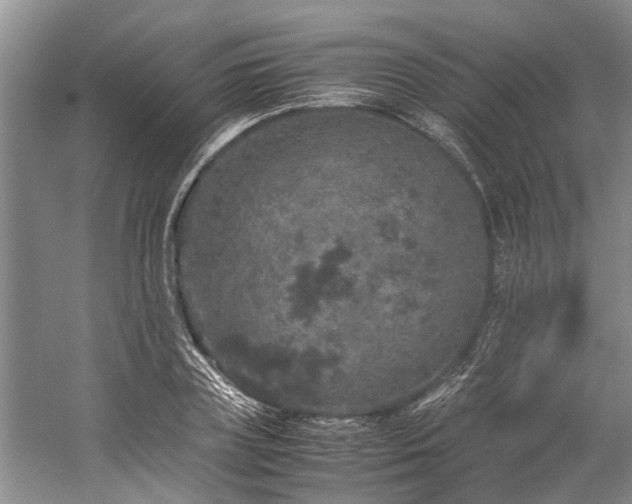 X0000060260835200510281203