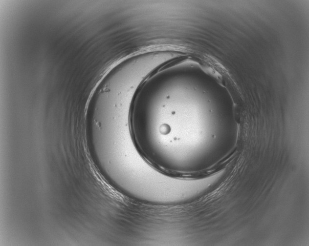 X0000060260836200510281203