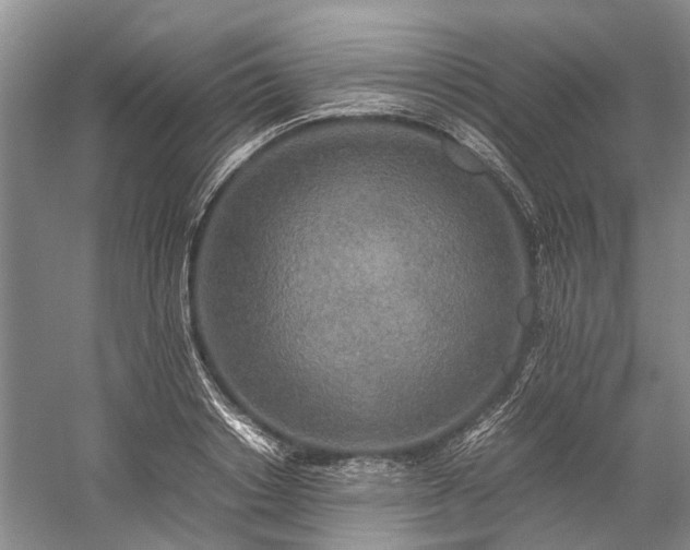 X0000060260842200510281203