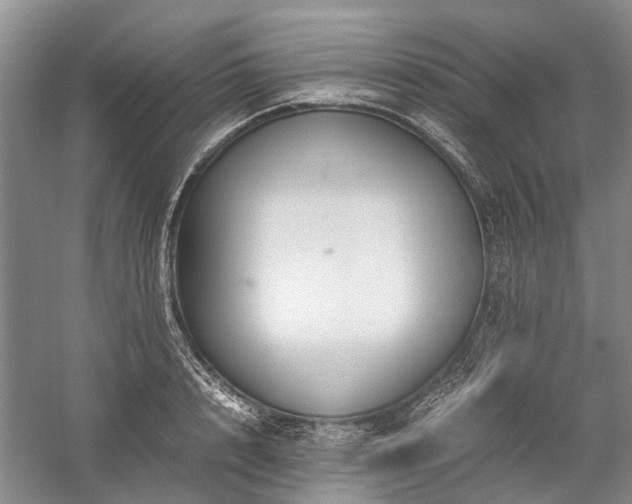 X0000060260848200510281203