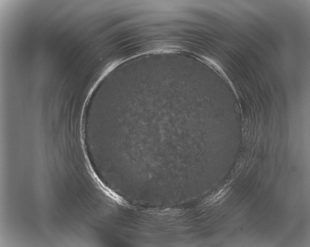 X0000060260851200510281203