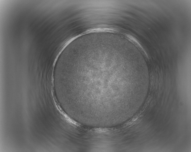 X0000060260852200510281203