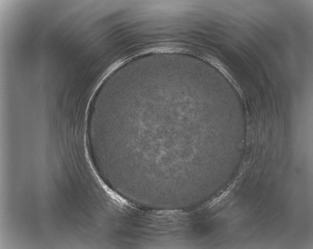 X0000060260853200510281203