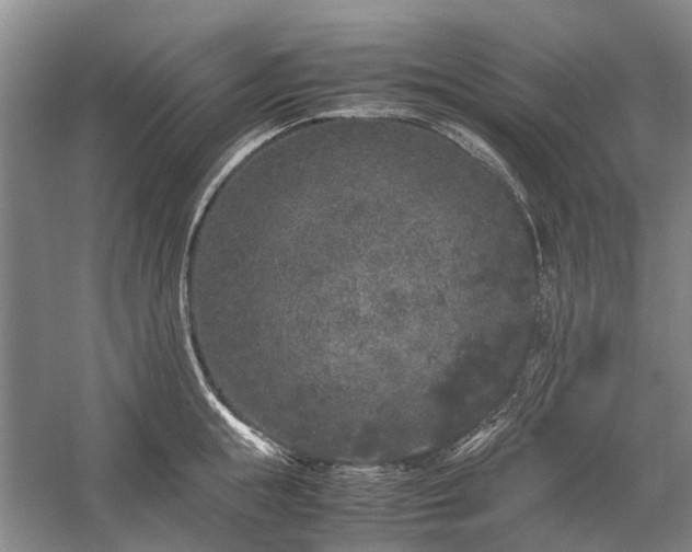 X0000060260855200510281203