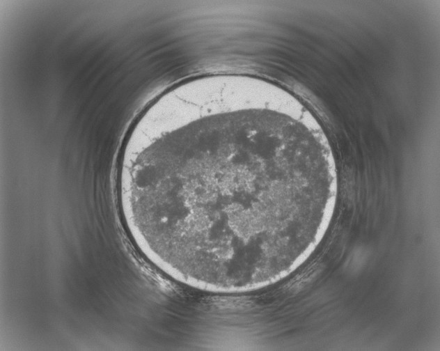 X0000060260856200510281203