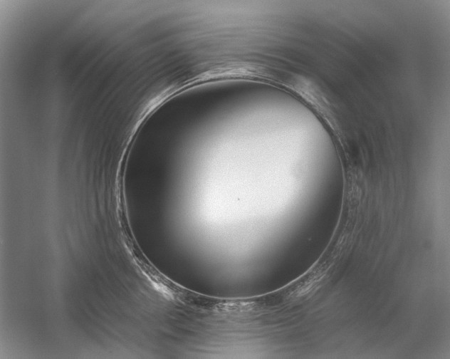 X0000060260858200510281204