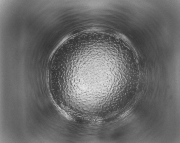 X0000060260859200510281204