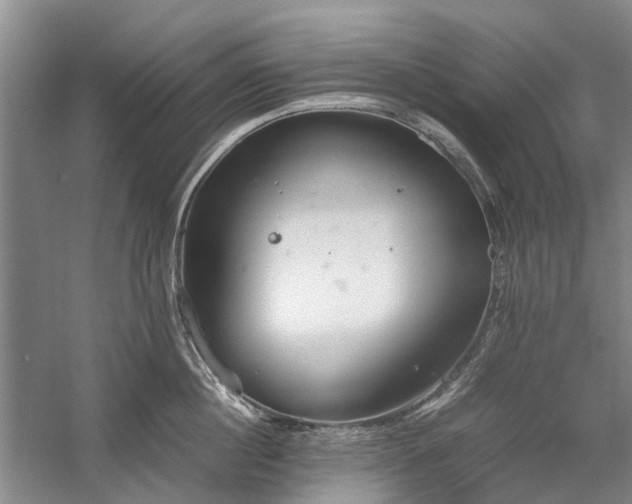 X0000060260860200510281204