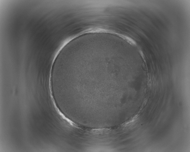 X0000060260863200510281204