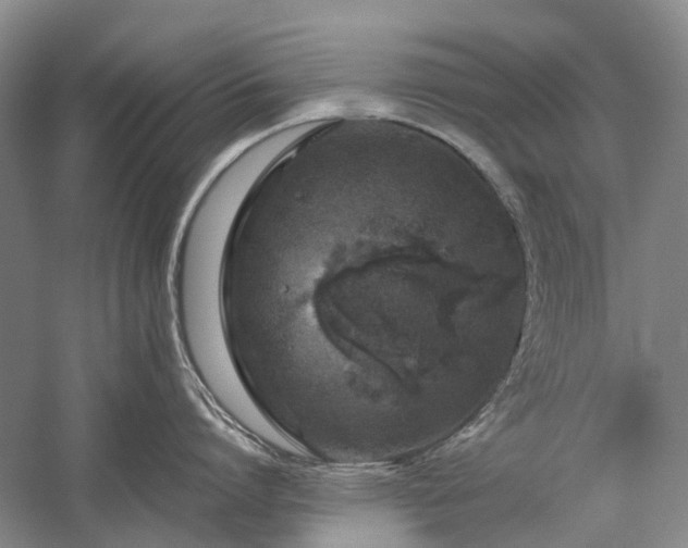 X0000060260864200510281204