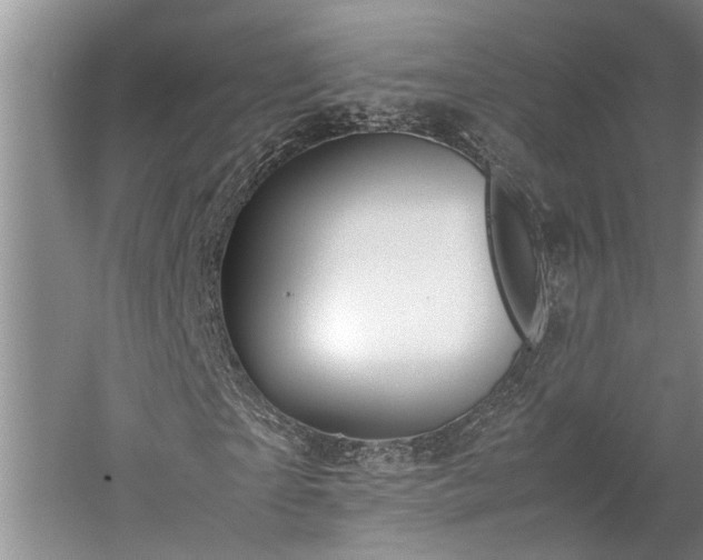 X0000060260865200510281203