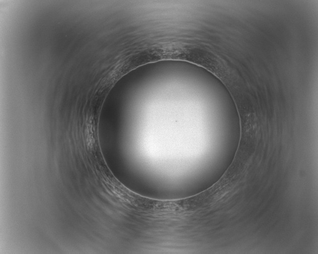 X0000060260866200510281203