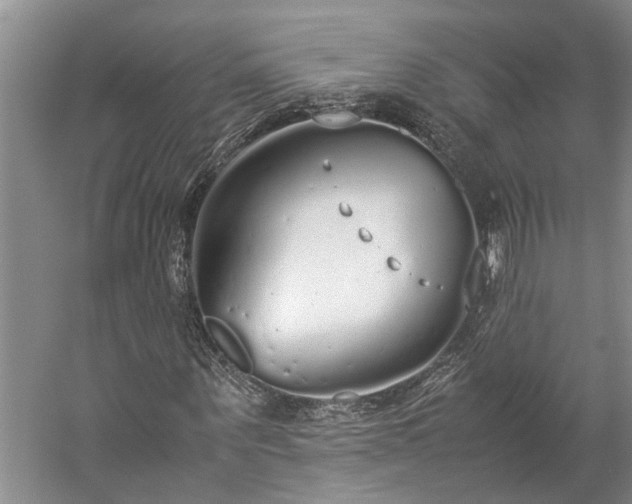 X0000060260867200510281203