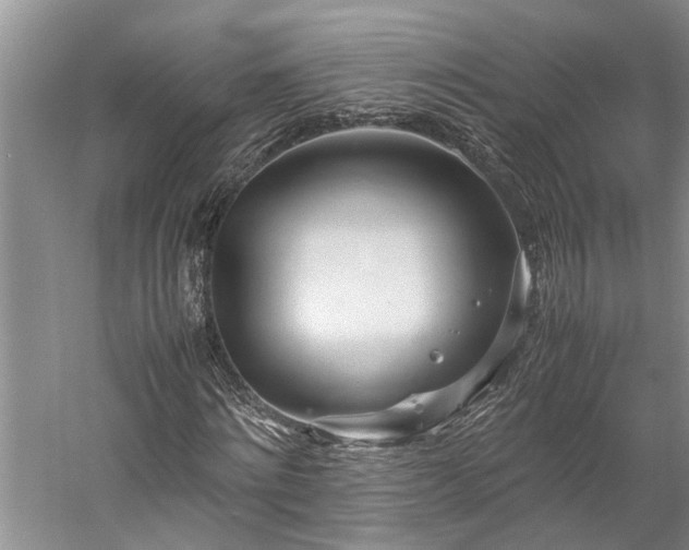 X0000060260868200510281203