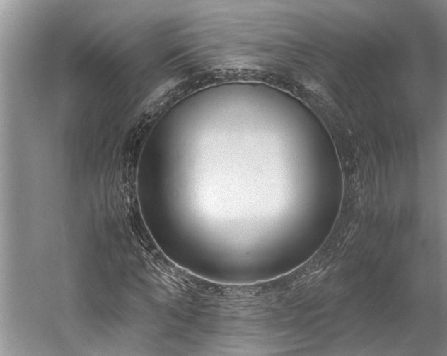 X0000060260870200510281203