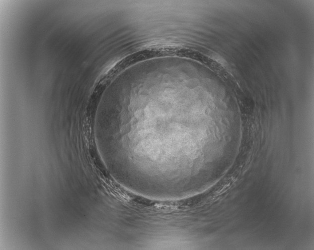 X0000060260871200510281203