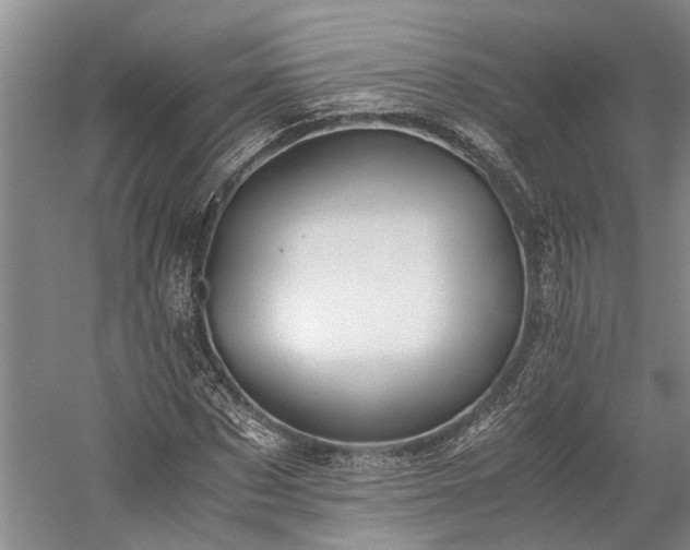 X0000060260873200510281203