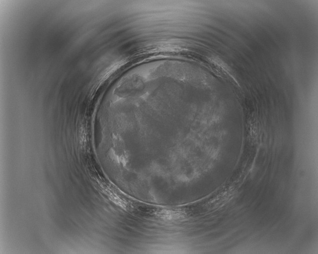 X0000060260874200510281203