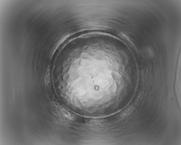 X0000060260875200510281203